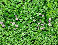 关于?潝s罡??+)B5}S?瞚暄荽捦?X碍瑐R;躣p9斏n┻馵扯U瓸P{醍墋?态?絤-@`4-爱游戏登录