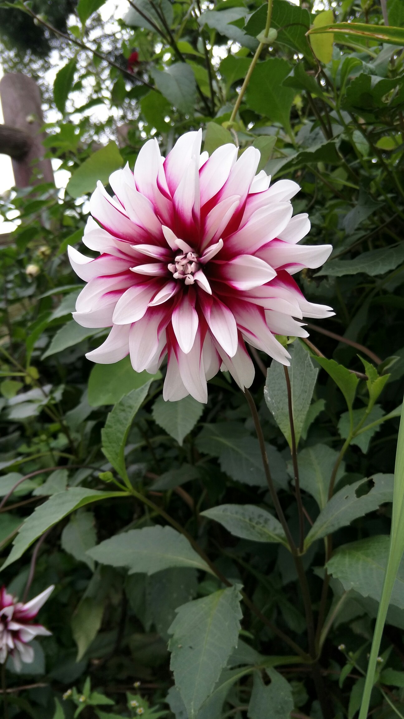 鑱旀兂m7615-爱游戏登录入口